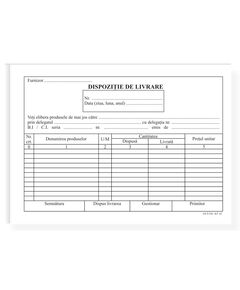 Dispozitie de livrare, A5, 100 file-