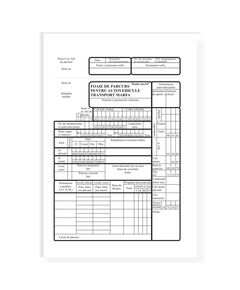 Foaie de parcurs autovehicule marfa, A4, 100 file, 3 buc/set-
