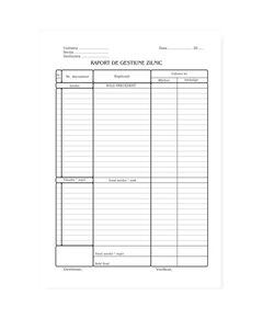 Raport gestiune zilnic A4, 100 file, 3 buc/set-