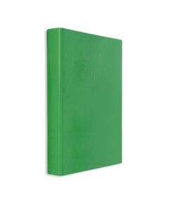 Caiet mecanic A4, 2 inele 25mm, verde, DACO, Culoare: Verde-