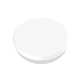 Magneti pentru table, D 24 mm, 10 buc/cutie, ALCO, Culoare: Alb-