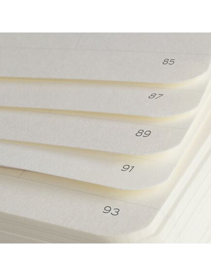 Caiet cu elastic A5, punctat, 125 file, LEUCHTTURM1917 Metallic - Argintiu, Culoare: Argintiu, Liniatura: Punctat-[2]