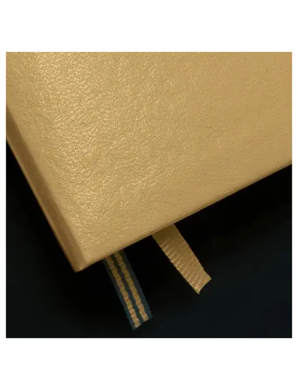 Caiet cu elastic A5, punctat, 125 file, LEUCHTTURM1917 Metallic - Argintiu, Culoare: Argintiu, Liniatura: Punctat-[4]