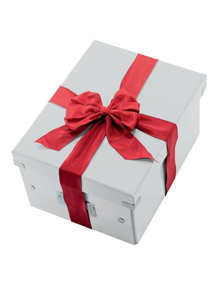Cutie depozitare mica, 220x160x282 mm, alb, LEITZ WOW Click&Store, Culoare: Alb-[4]
