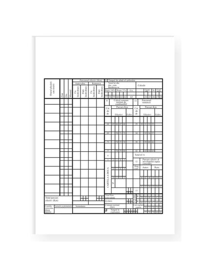 Foaie de parcurs autovehicule marfa, A5, 100 file, 3 buc/set-[2]