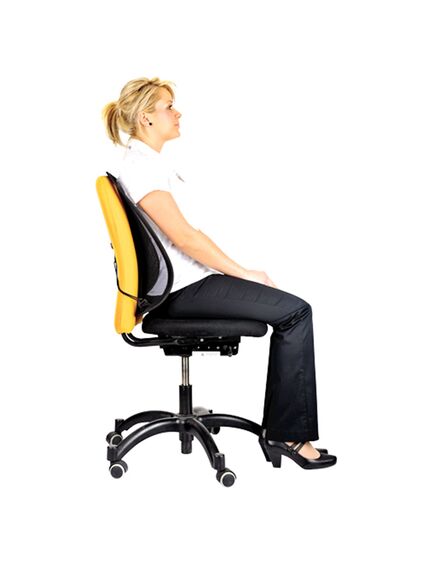 Suport ergonomic pentru spate, negru, Mesh FELLOWES-[4]
