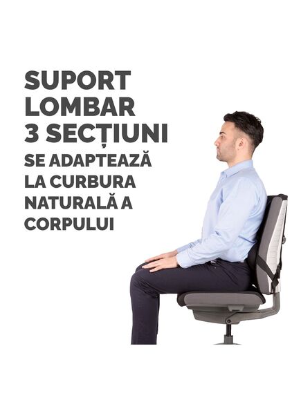 Suport ergonomic pentru spate FELLOWES Ultimate pro-[4]