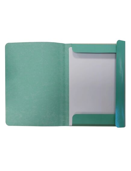 Dosar carton color plic, 300 g/mp, 50 buc/set, albastru, PAPERLAND, Culoare: Albastru-[2]