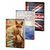 Caiet scolar A4, 60 file, velin, PIGNA Clasic, Liniatura: Velin-