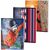 Caiet scolar A5, 48 file, matematica, PIGNA Color, Liniatura: Matematica-