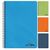 Caiet cu spirala A4, 80 file, coperta plastic, dictando, ColorArte, Liniatura: Dictando-