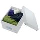 Cutie depozitare mica, 220x160x282 mm, alb, LEITZ WOW Click&Store, Culoare: Alb-[3]