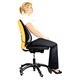Suport ergonomic pentru spate, negru, Mesh FELLOWES-[4]