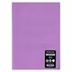 Caiet scolar A4, 80 file, coperta plastic, dictando, PAPERLAND, Liniatura: Dictando-[8]