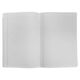 Caiet scolar A4, 80 file, coperta plastic, dictando, PAPERLAND, Liniatura: Dictando-[9]