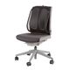 Suport ergonomic pentru spate FELLOWRS Mesh Office-[2]